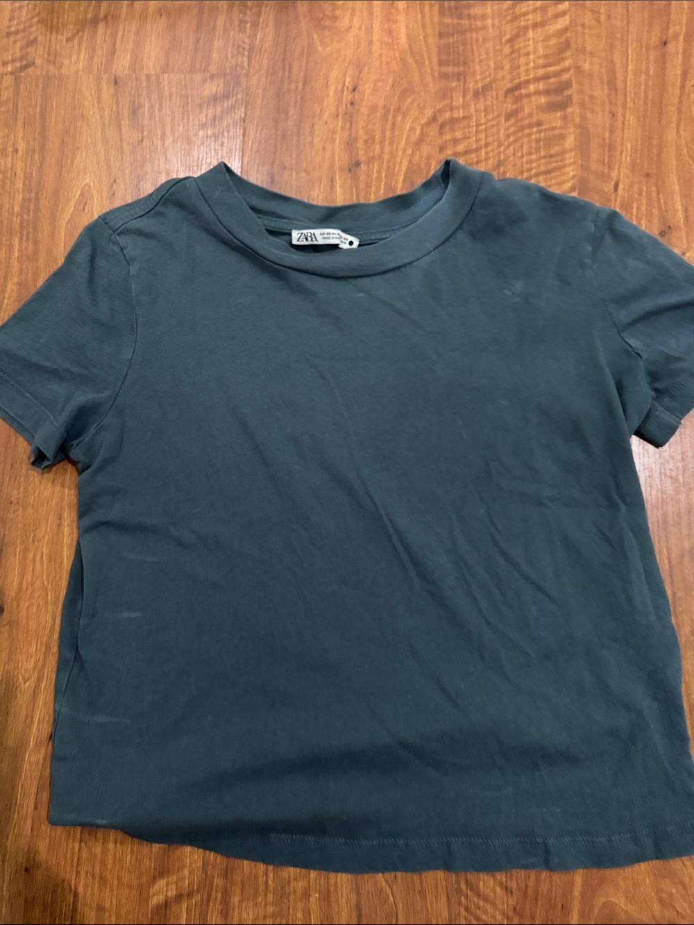 Zara Men’s Short Sleeve Tee in Teal Blue